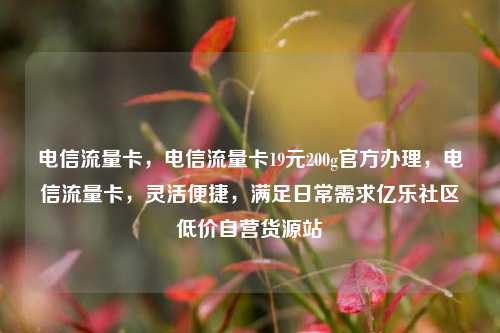 电信流量卡	，电信流量卡19元200g官方办理，电信流量卡，灵活便捷	，满足日常需求亿乐社区低价自营货源站  第1张